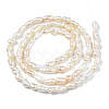 Natural Cultured Freshwater Pearl Beads Strands PEAR-N012-02F-2