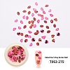 Paper Cabochons MRMJ-T063-275-2