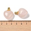 Natural Rose Quartz Perfume Bottle Pendants G-Z039-03G-02-3