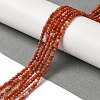 Natural South Red Agate Beads Strands G-B090-A04-03-2