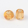 6/0 Round Silver Lined Round Hole Glass Seed Beads X-SEED-A005-4mm-22B-2