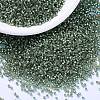 MIYUKI Delica Beads SEED-MY11-DB2165-1