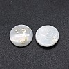 Shell Cabochons SSHEL-E568-B08-1