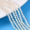 Natural Cultured Freshwater Pearl Beads Strands PEAR-T006-08-1