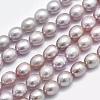 Natural Cultured Freshwater Pearl Beads Strands PEAR-K003-23B-01-1