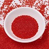 MIYUKI Delica Beads X-SEED-J020-DB0704-2