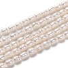 Natural Cultured Freshwater Pearl Beads Strands PEAR-L033-65-1