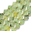 Natural Prehnite Beads Strand G-I376-C02-01-1