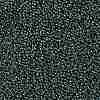 TOHO 11/0 Round Beads X-SEED-TR11-0118-2