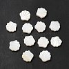 Natural Freshwater Shell Beads BSHE-E026-06-1