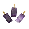 Natural Amethyst Faceted Pendants G-L623-03G-06-1