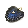Natural Labradorite Carved Pendants G-C276-01G-06-2