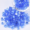6/0 Glass Seed Beads SEED-S027-05B-04-1