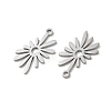304 Stainless Steel Pendants SA-CBA28C1-02B-P-2
