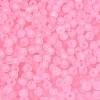 FGB Frosted Transparent Glass Seed Beads SEED-N013-02A-05-3