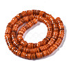 Natural Freshwater Shell Beads Strands X-SHEL-Q024-001G-2