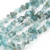 Natural Apatite Beads Strands X-G-F666-01B-01-1