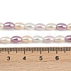 Electroplated Shell Pearl Beads Strands BSHE-H113-06C-01-4