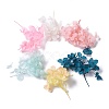 Dried Flowers X-DIY-D052-17-2