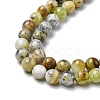 Natural Green Opal Beads Strands G-C029-02A-4