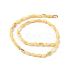Natural Freshwater Shell Dyed Beads Strands SHEL-M018-13-09-2