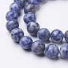 Gemstone Beads GSR10mmC036-6
