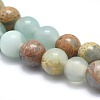 Natural Aqua Terra Jasper Beads Strands G-N0128-48-4mm-3