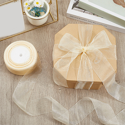 1 Rolls Sheer Organza Ribbon SRIB-CY0001-22C-11-1
