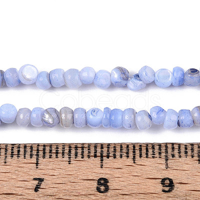 Natural Freshwater Shell Dyed Beads Strands SHEL-T020-29B-01-1