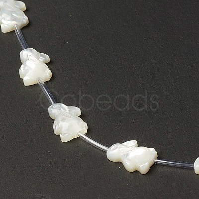 Natural White Shell Mother of Pearl Shell Beads BSHE-B005-01-1