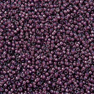 MIYUKI Round Rocailles Beads X-SEED-G009-RR0386-1