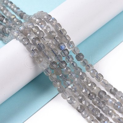 Natural Labradorite Beads Strands G-D0003-B10-1