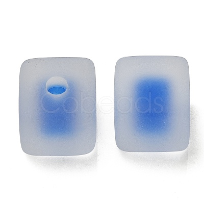 Frosted Acrylic European Beads OACR-G012-14E-1