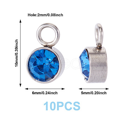 10Pcs Glass Rhinestone Charms STAS-TA0003-26E-1