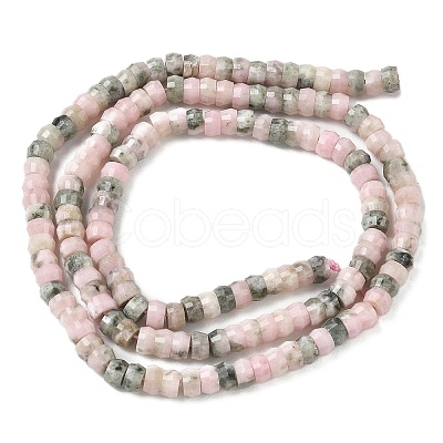 Natural Rhodonite Beads Strands G-A299-A24-01-1