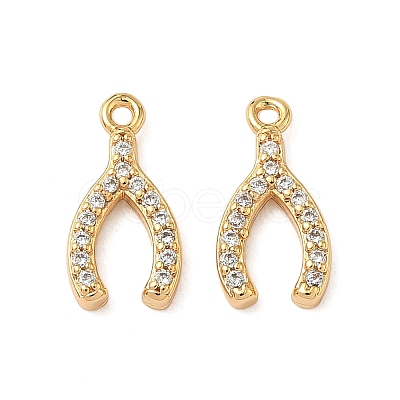 Brass Micro Pave Clear Cubic Zirconia Charms KK-B160-27G-1