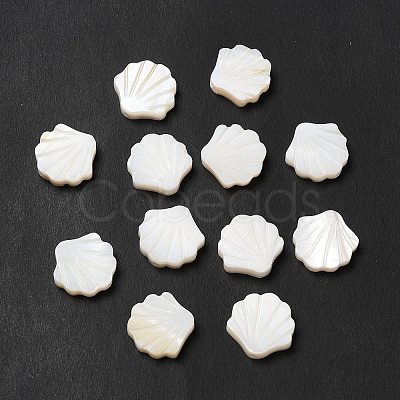 Natural Freshwater Shell Beads BSHE-E026-06-1