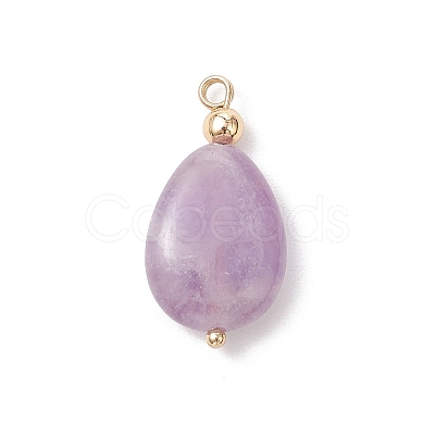 4Pcs 4 Styles Natural Amethyst & Rose Quartz & Green Aventurine & Dyed Quartz Teardrop Charms with Brass Bails PALLOY-JF04268-01-1