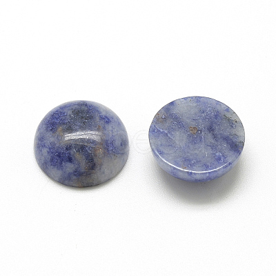 Natural Blue Spot Jasper Cabochons G-R416-10mm-45-1