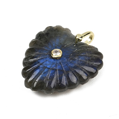 Natural Labradorite Carved Pendants G-C276-01G-06-1