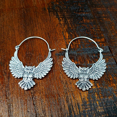 Bohemian Style Alloy Owl Hoop Earrings FS-WGF4BD1-01-1