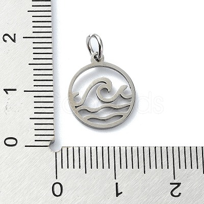 Non-Tarnish 304 Stainless Steel Charms LS-STAS-C097-63P-1