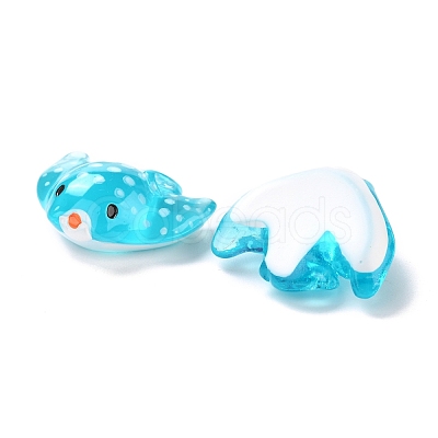 Transparent Resin Cabochons RESI-I043-01-1