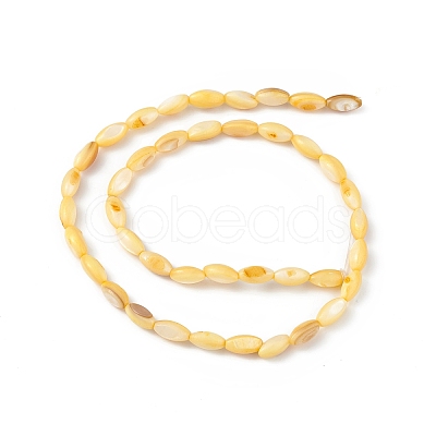 Natural Freshwater Shell Dyed Beads Strands SHEL-M018-13-09-1