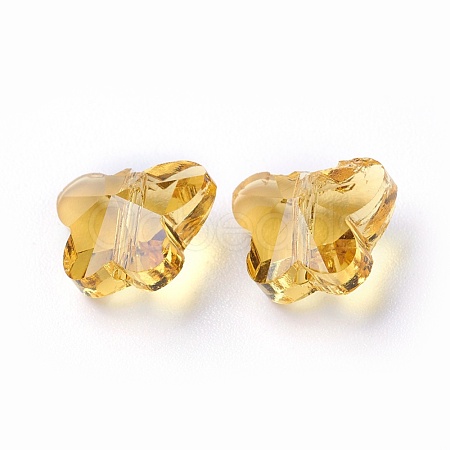 Transparent Glass Beads GLAA-P037-02A-19-1