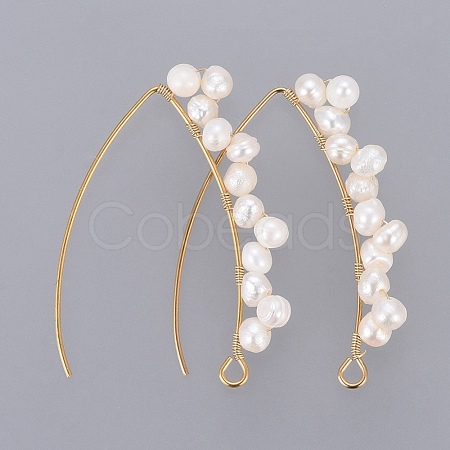 PVD Vacuum Plating 304 Stainless Steel Earring Hooks X-EJEW-JE03759-1