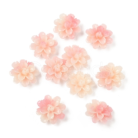 Synthetic Shell Dyed Beads SHEL-C006-01D-1