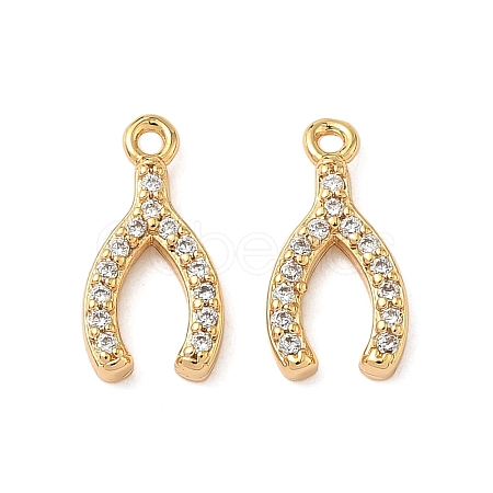 Brass Micro Pave Clear Cubic Zirconia Charms KK-B160-27G-1