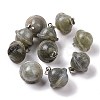 Natural Labradorite Pendants G-B041-01P-04-1