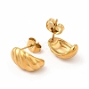 316 Stainless Steel Shell Shape Stud Earrings for Women EJEW-C004-13G-2